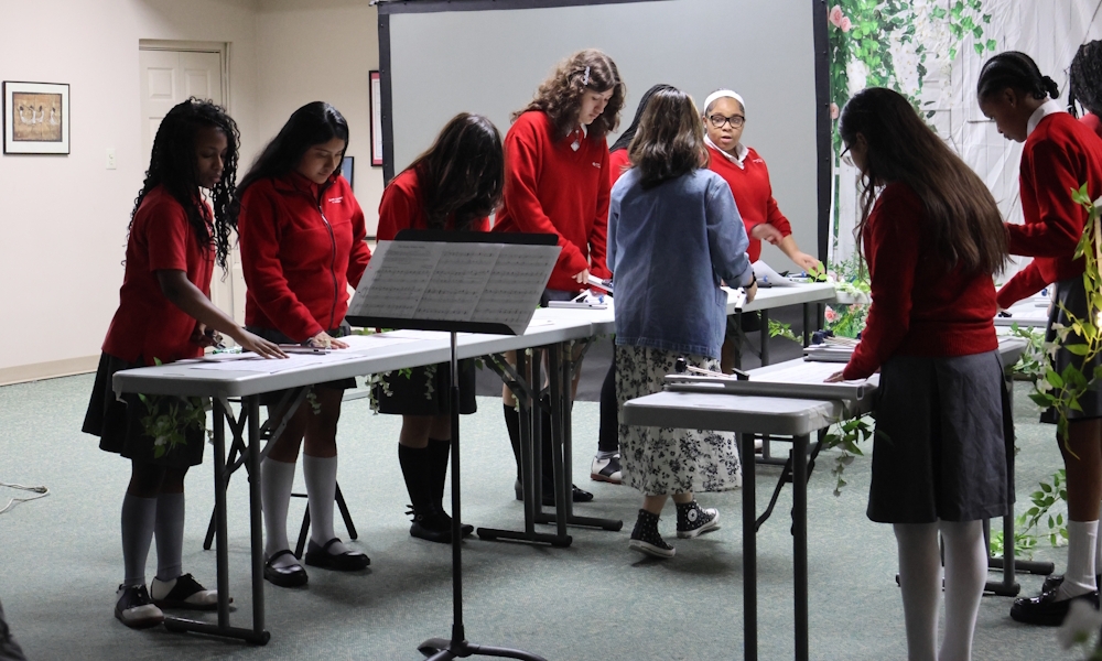 Showcasing ExCEL 5